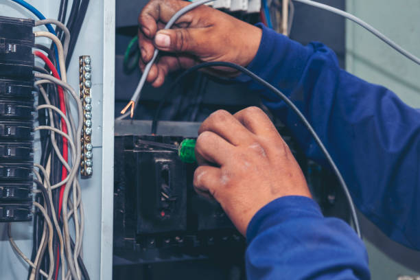Best Licensed Electrician  in Larimore, ND